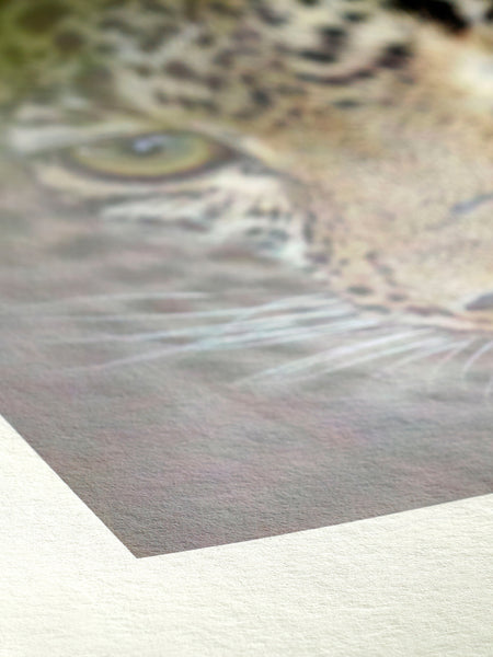 Hahnemuehle Bamboo 290gsm