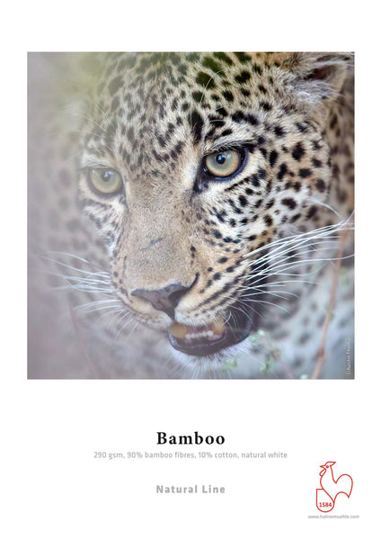 Hahnemuehle Bamboo 290gsm
