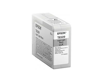 Epson Surecolor P800 Inks. 80ml Sizes SC P800